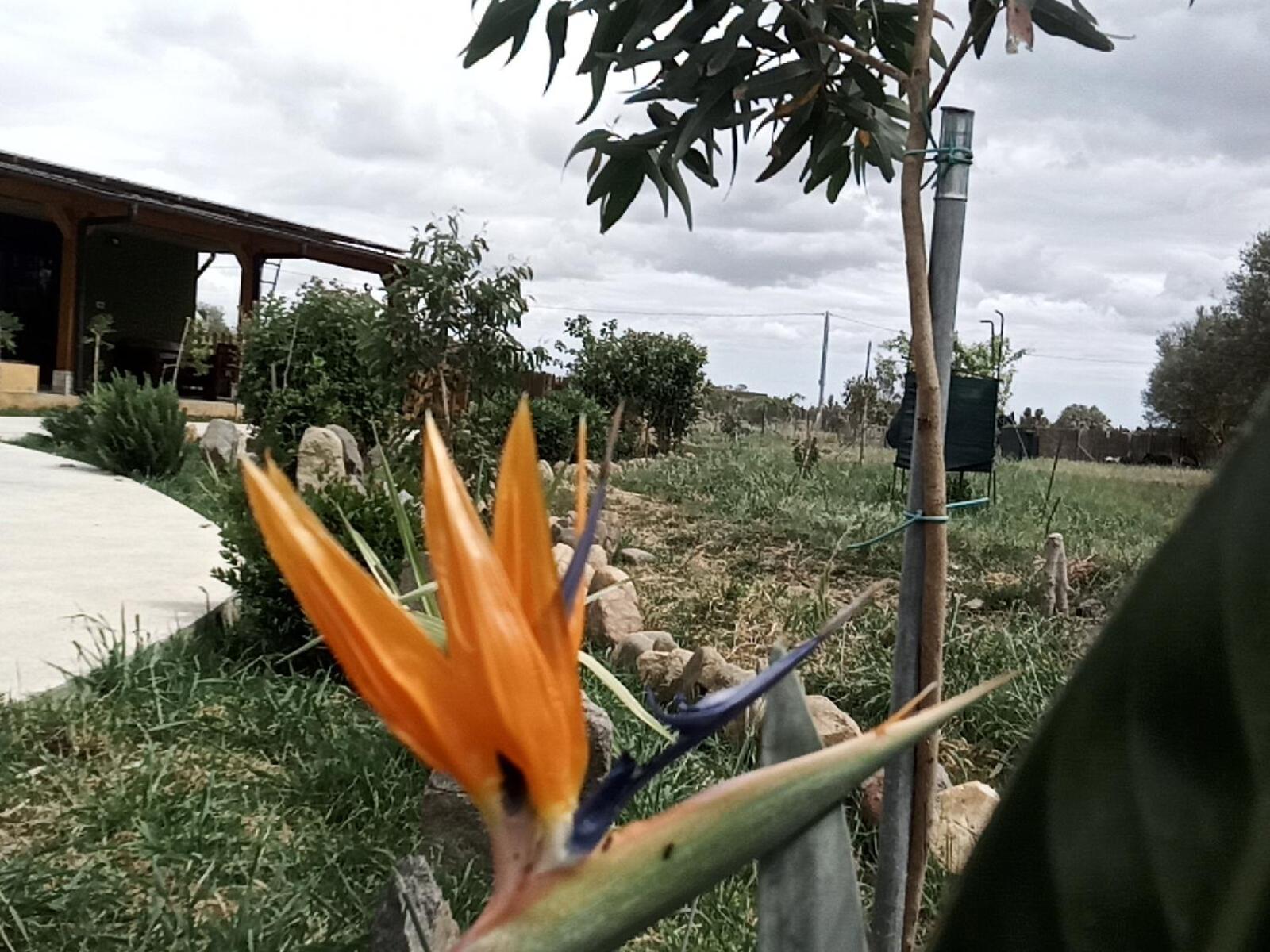 Podere Kiri Dome Experience Decimomannu Bagian luar foto