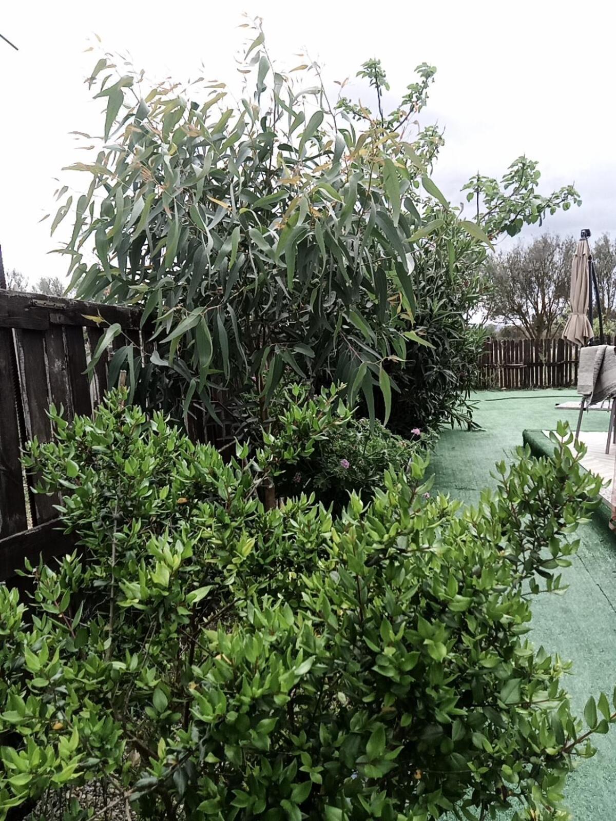 Podere Kiri Dome Experience Decimomannu Bagian luar foto